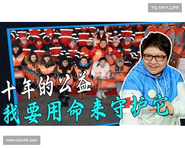 五大慈善单位的无私奉献精神与感人故事分享